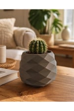 Geometrik Mini Kaktüs Saksısı | Dekoratif Masa Üstü Saksı | 3D Baskı