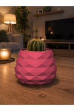 Geometrik Mini Kaktüs Saksısı | Dekoratif Masa Üstü Saksı | 3D Baskı