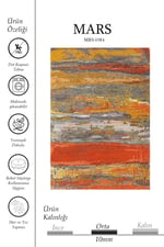 Turuncu Kırmızı Soyut Fırça Darbe Desenli Modern Halı - Sıcak Gri Degrade Salon Halısı 1084