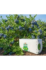 250 Lt Profimix Ithal Blueberry Yaban Mersini Torfu - Ph 3,5 - 4,2 Asidik Toprak 0-40 Mm