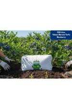 250 Lt Profimix Ithal Blueberry Yaban Mersini Torfu - Ph 3,5 - 4,2 Asidik Toprak 0-40 Mm