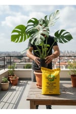 40 Litre İthal Çok Amaçlı Bitki Toprağı Torf Cocopeat Pro Mix - Kokopit Özel Karışım Saksı Harcı