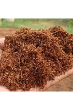 60 - 65 Lt Sıkıştırılmış Hindistan Cevizi Torfu - 4 - 5 Kg Blok Ithal Organik Cocopeat Kokopit