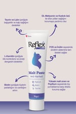 Care Malt Paste Anti Hairball - Tüy Yumağı Önleyici Malt 75g