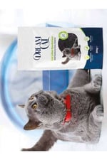 DreamCat Aktif Karbonlu Koku Giderici 200 gr