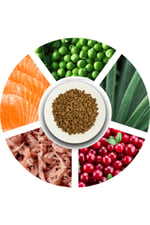 Kısırlaştırılmış Kediler İçin, Hipoalerjenik, Somon Balıklı Ve Karidesli Kuru Mama 15 kg