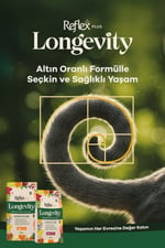 Plus Longevity Kısırlaştırılmış Yetişkin Kedi Maması 900g