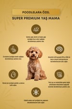 Plus Poodle Yetişkin Köpek Konservesi 85gr
