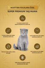 Plus Pouch Scottish Fold İdrar Yolu Sağlığı Destekli Soslu Yetişkin Kedi Yaş Maması 85 GR