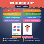 Yürütücü İşlevler 3-4 Yaş