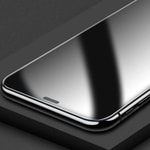 Apple iPhone 11 Pro Zore Anti-Dust Mat Privacy Temperli Ekran Koruyucu