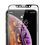 Apple iPhone XS 5.8 Benks 0.3mm V Pro Privacy Ekran Koruyucu