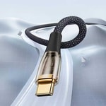 Benks D42 Şeffaf Görünümlü Type-C To PD Kablo 100W 2M