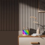 Lenyes S229 RGB Işıklı Askılı Mikrofonlu Bluetooth Speaker Hoparlör v5.3
