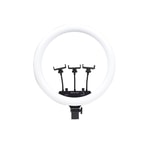 Zore MJ-56 Uzaktan Kumandalı 21 inç Işıklı Telefon Tutucu Ring Light