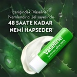 Vaseline Lip Therapy Dudad Bakım Kremi Aleo Vera 4.8 gr