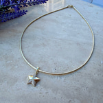 14K Özel Seri Yıldız Uçlu Yumuşak Choker 