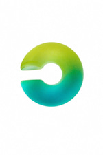 Neon İki Renk Earcuff