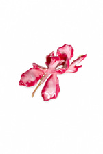 Pembe Orkide Broş