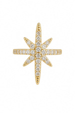 Taşlı Kutup Yıldızı Gold Earcuff