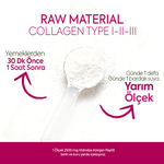 Raw Material Collagen (Type I-II-III) 100 gr