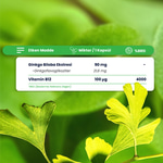 Smart Caps Ginkgo Biloba + B12 60 Kapsül