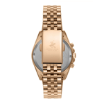 BP3656C.430 BP3656C.430