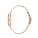 DK.1.13608.5 DK.1.13608.5