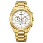 Citizen, CA4592-85A, Erkek Saat