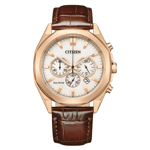 Citizen, CA4593-15A, Erkek Saat