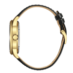 Citizen, NY4059-09AE, Erkek Saat