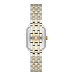 IC.24307.04 IC.24307.04