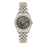 Daniel Klein, DK.1.13589.08, Kadın Saat, Daniel Klein DK.1.13589.08 Kadın Kol Saati