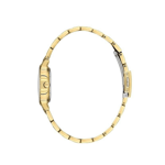 Daniel Klein, DK.1.14118.07, Kadın Saat, Daniel Klein DK.1.14118.07 Kadın Kol Saati