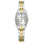 Roche Montre, RML5004-02, Kadın Saat, Roche Montre RML5004-02 Kadın Kol Saati