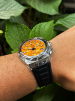 PWG1078.301 PWG1078.301