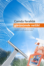 Cam Temizleyici Sprey 750 ml