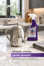 Pas&Kireç Temizleyici 750 ml