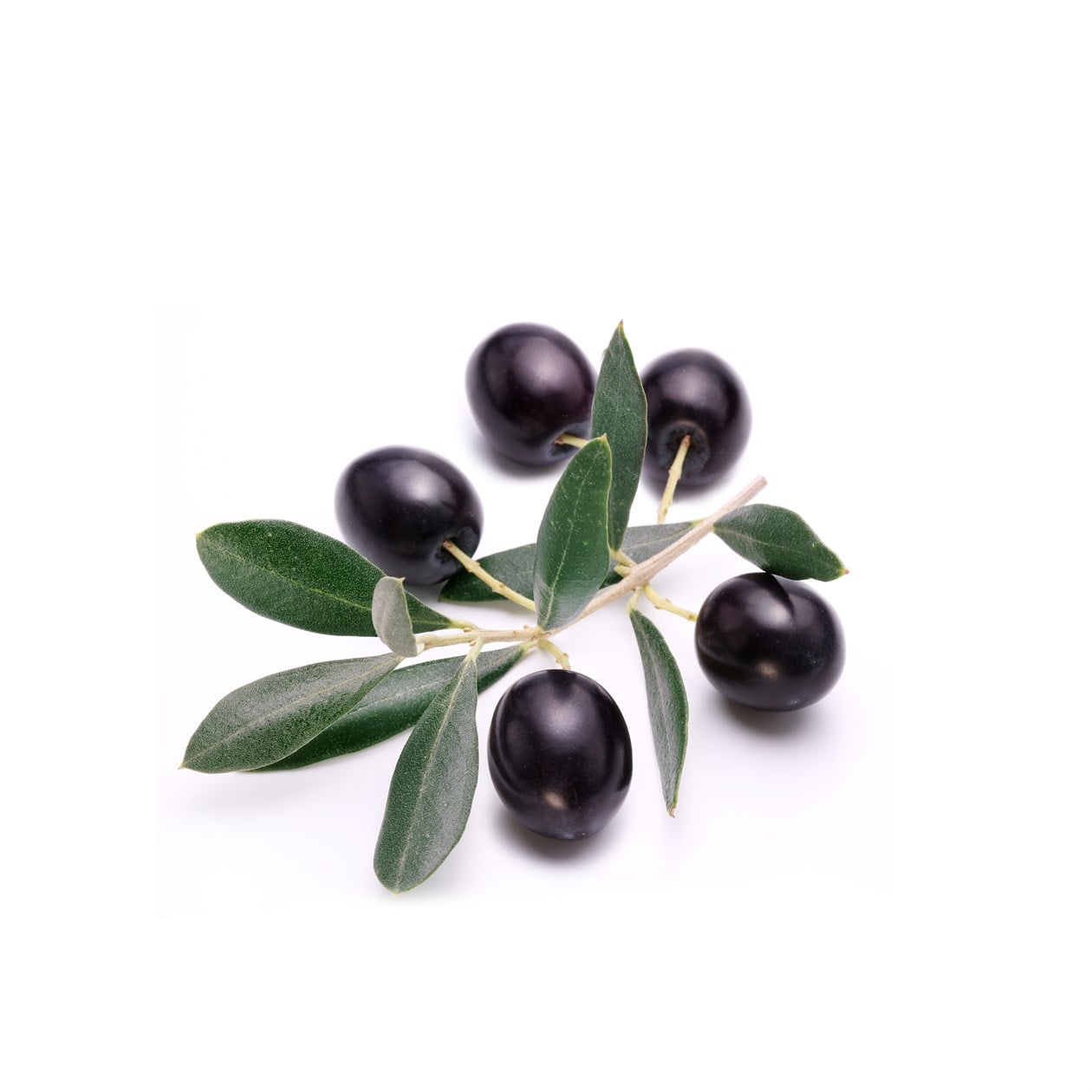 Akkızhan Çiftliği Taze Siyah Zeytin 3 kg