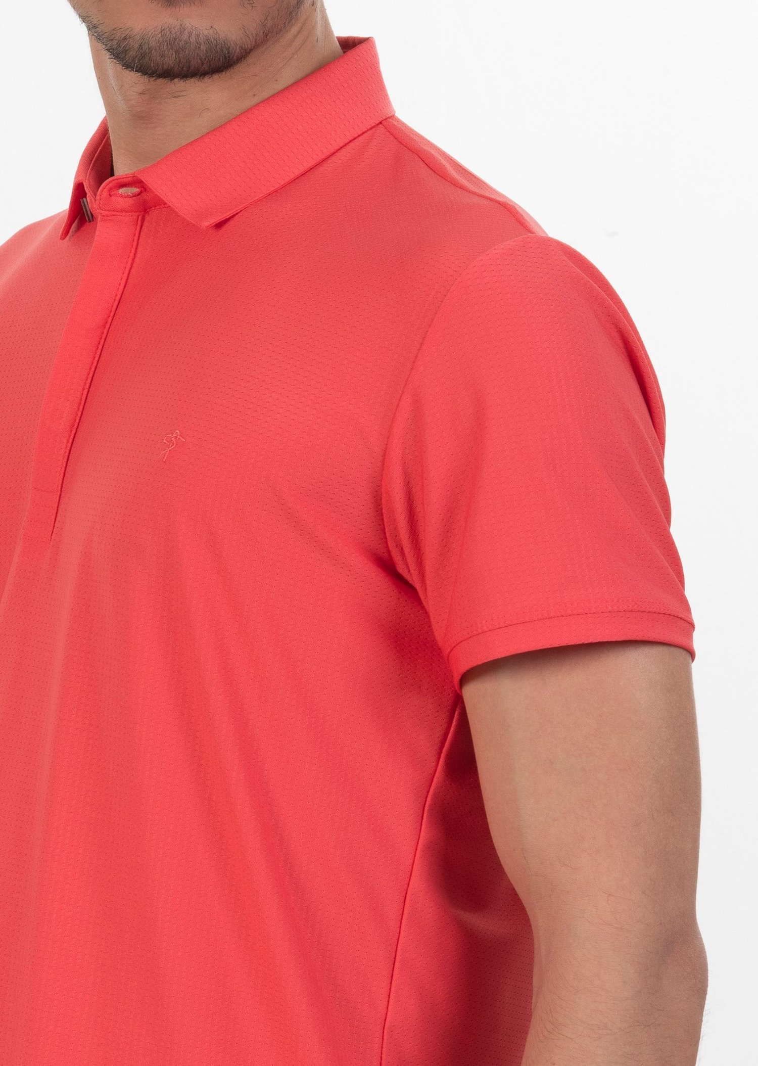 Polo Yaka Logo Nakışlı Basic T-Shirt
