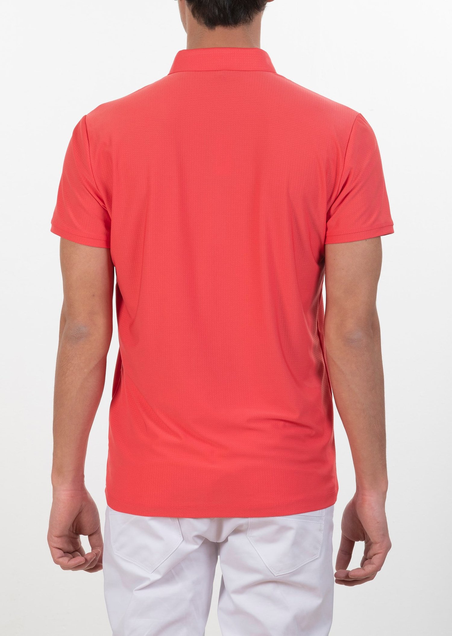 Polo Yaka Logo Nakışlı Basic T-Shirt