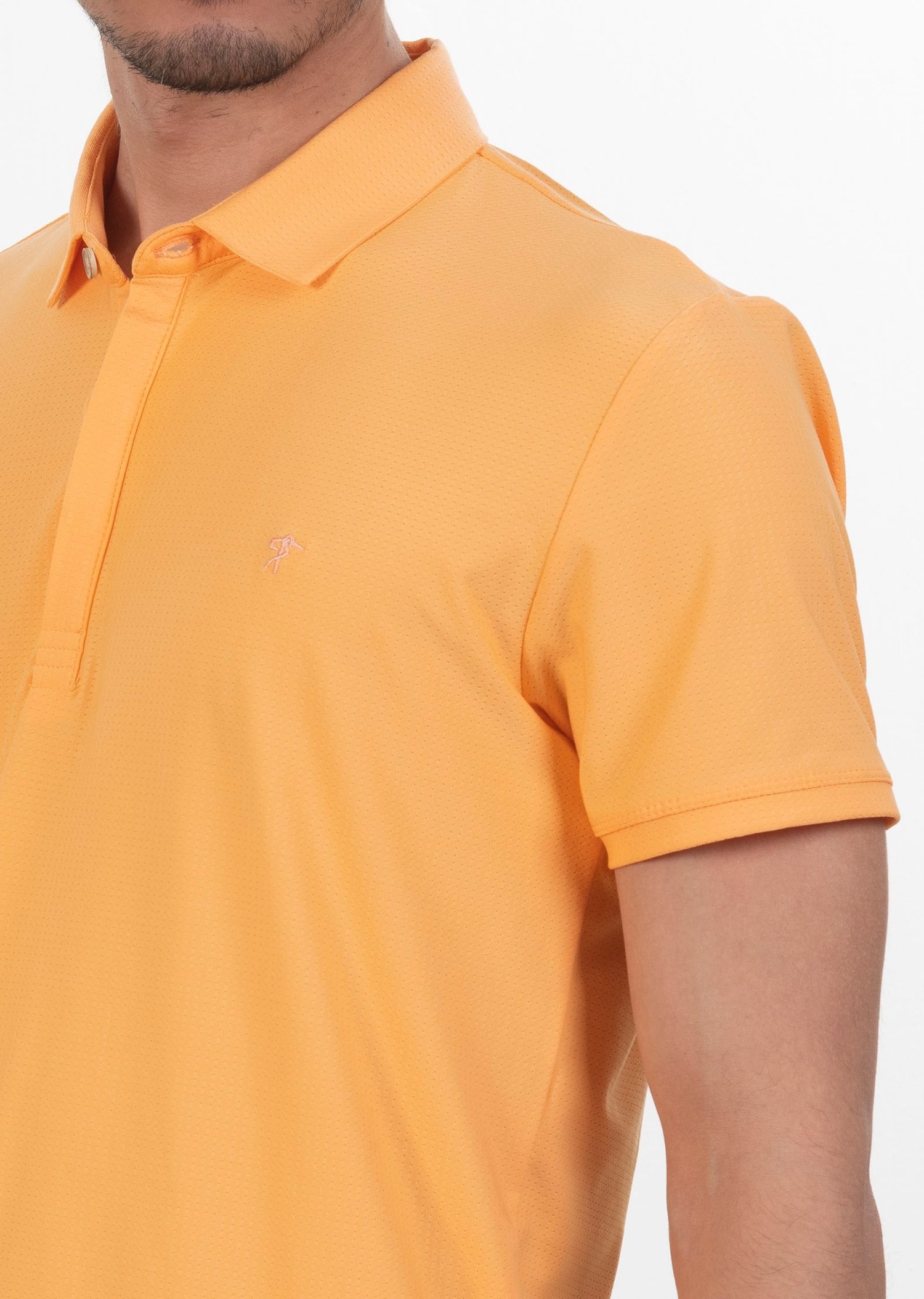 Polo Yaka Logo Nakışlı Basic T-Shirt