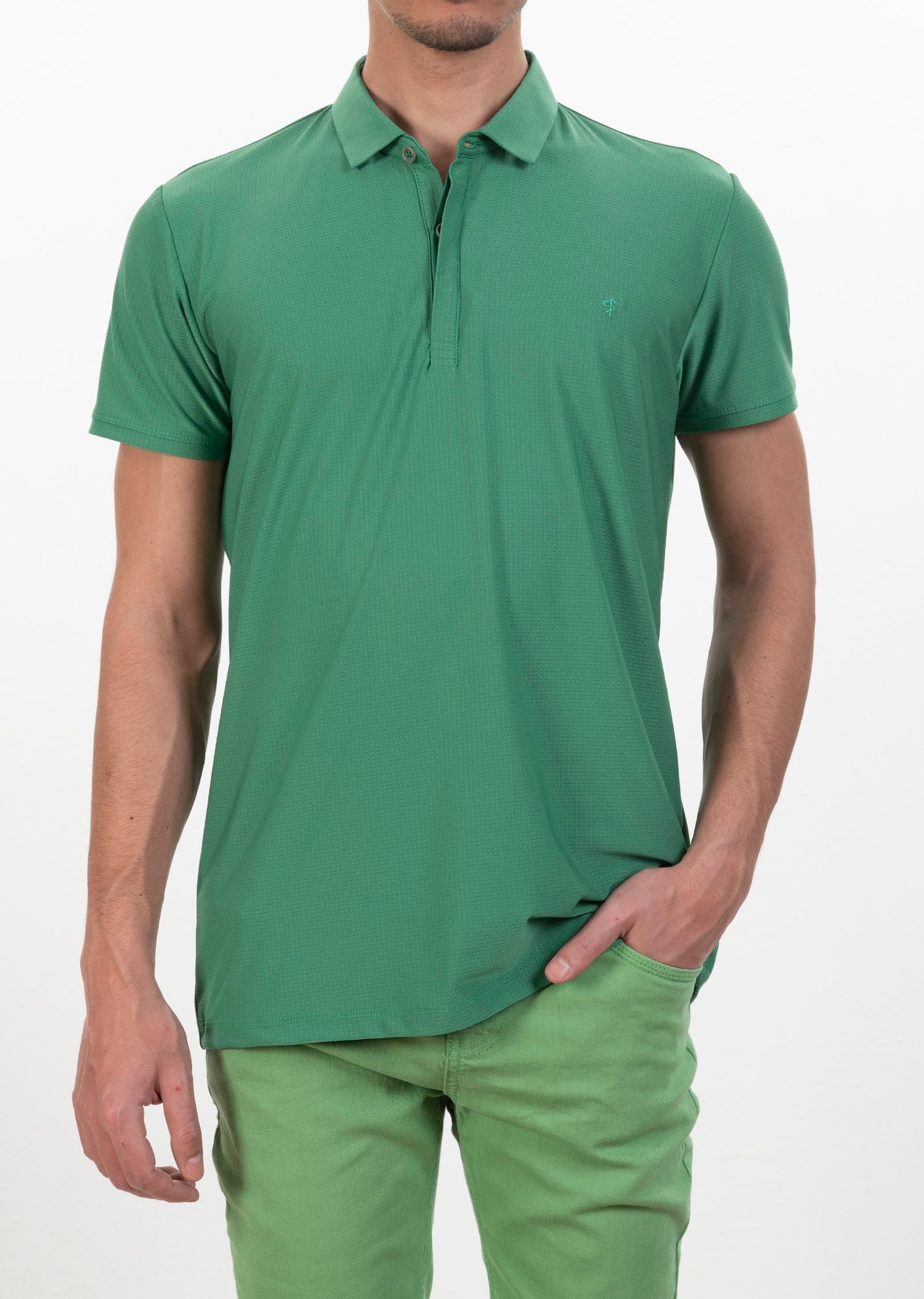 Polo Yaka Logo Nakışlı Basic T-Shirt