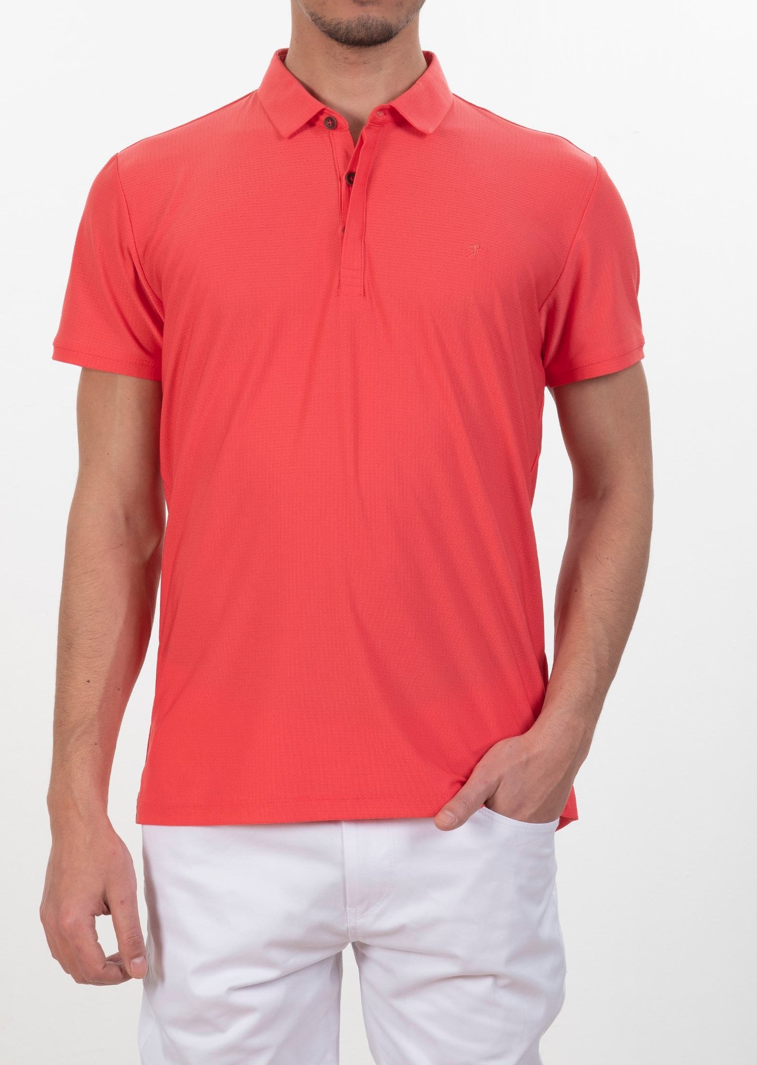Polo Yaka Logo Nakışlı Basic T-Shirt
