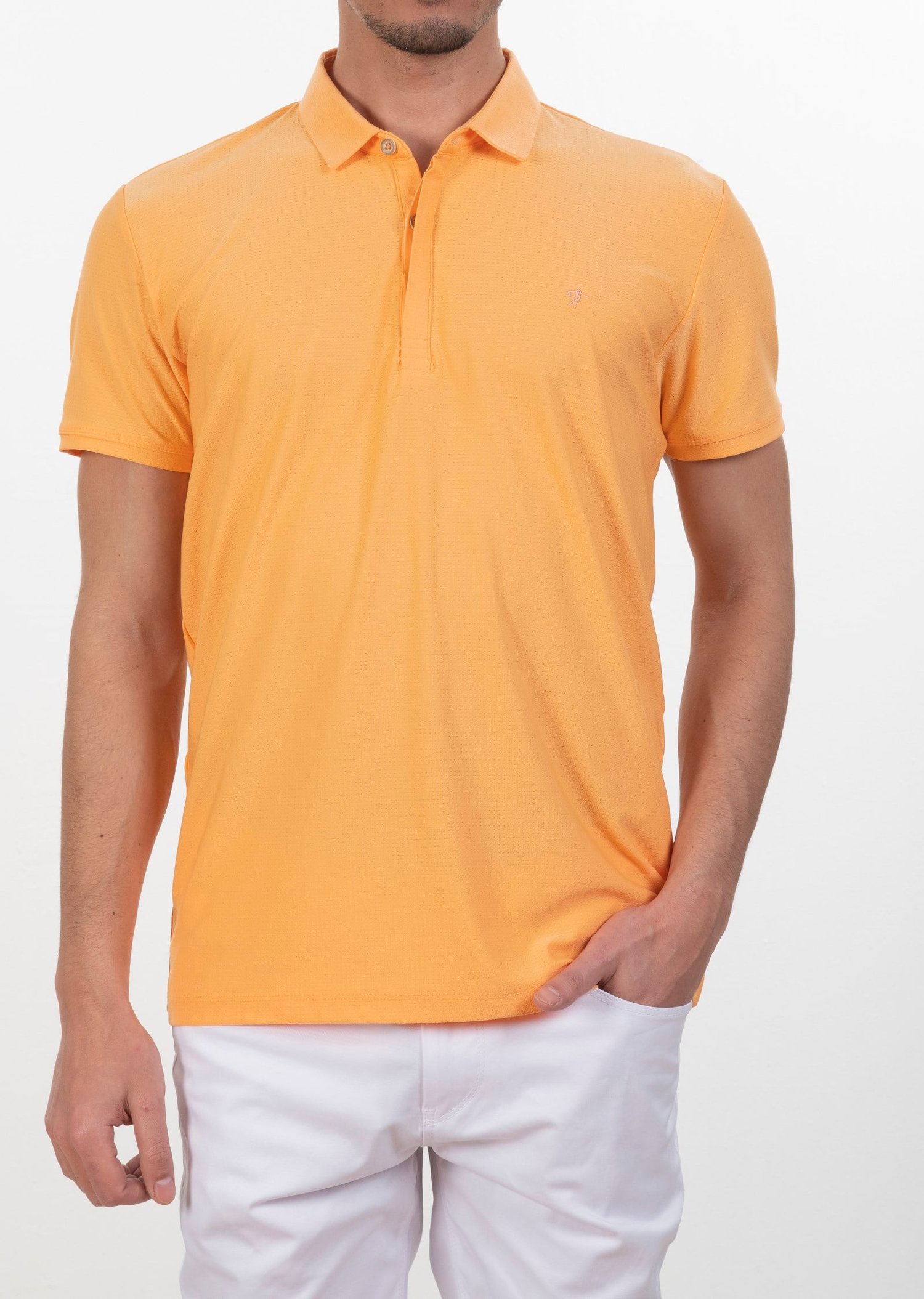 Polo Yaka Logo Nakışlı Basic T-Shirt