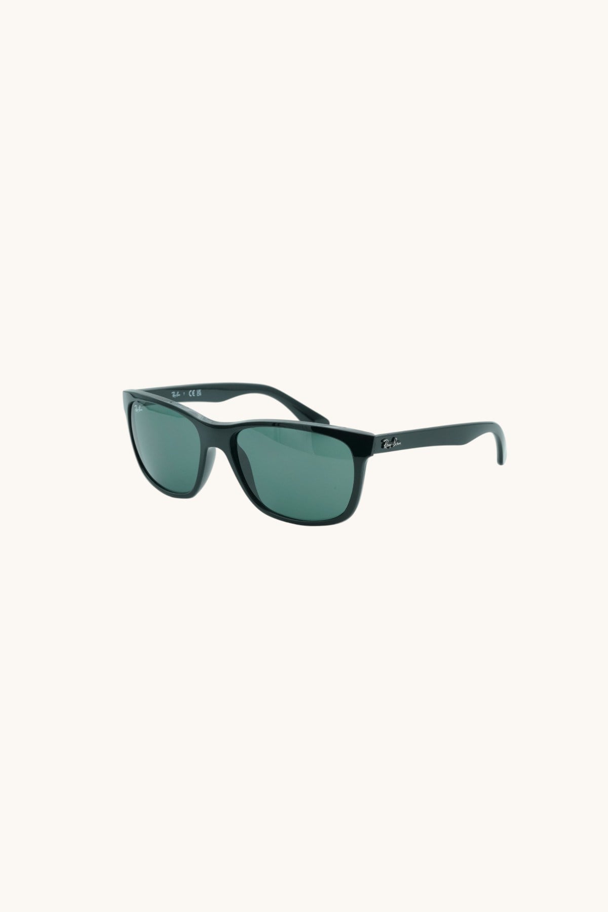 RAY-BAN RB4181 Erkek Güneş Gözlüğü