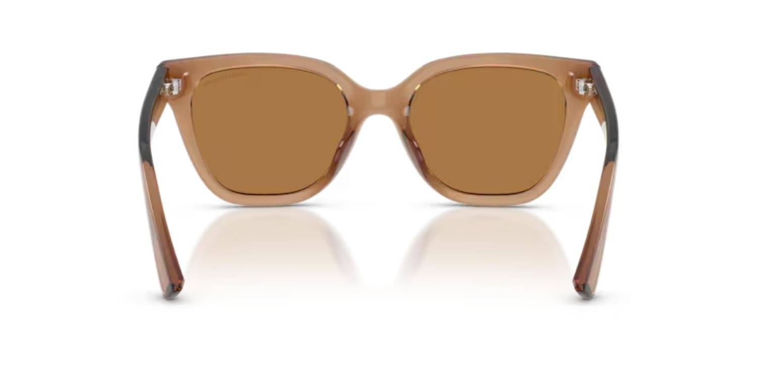 Armani Exchange AX 4164SU 839673 53  Kadın Güneş Gözlüğü
