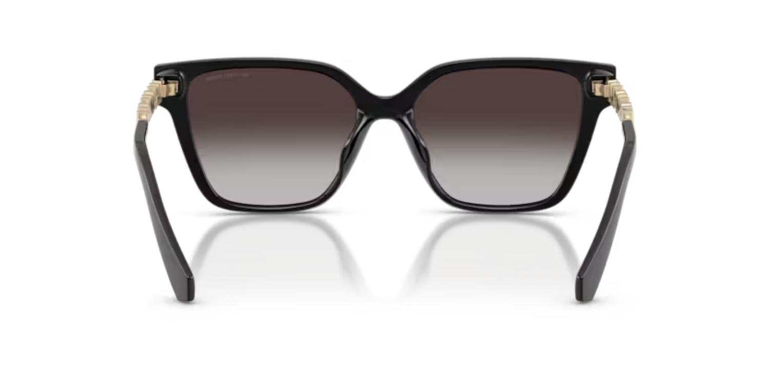 MICHAEL KORS 2263U 30058G 56 Kadın Güneş Gözlüğü