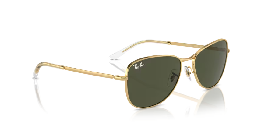 Rayban 0RB3733 001/31 56 kadın