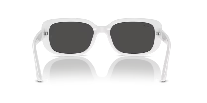 Rayban 0RB4421D 677287 56 kadın